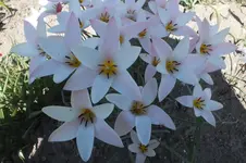 DSCF0673.webp