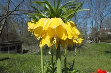 DSCF0675.webp