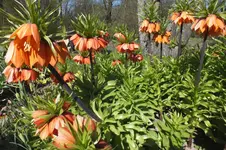 DSCF0676.webp