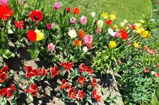 DSCF0677 (2).webp