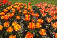 DSCF0680.webp