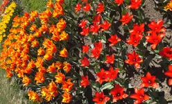 DSCF0681 (2).webp