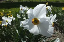 DSCF0686.webp