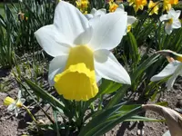 DSCF0687 (3).webp