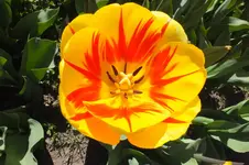 DSCF0690.webp