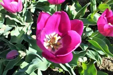 DSCF0702 (2).webp