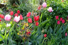 DSCF2674.webp