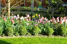 DSCF2687.webp