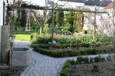 DSCF2662.webp