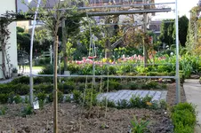 DSCF2663.webp