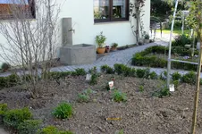 DSCF2664.webp