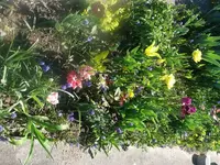 k-P1080755.webp