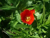 k-P1080759.webp
