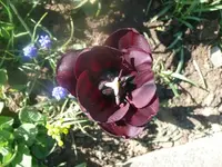 k-P1080761.webp