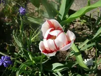 k-P1080769.webp
