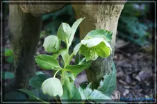 comp_DSC03184.webp