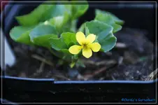 comp_DSC03187.webp