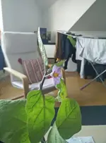 f27t958p18941n2_bUBLyXQj.webp