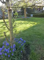 DSCN2220.webp