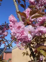 DSCN2214.webp