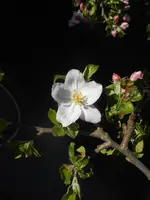 DSCN2208.webp