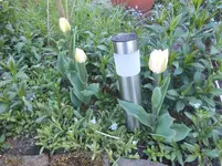 DSCN2205.webp