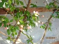 IMG_4295.webp
