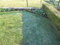 DSCN2224.webp
