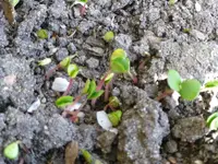P1030392x.webp