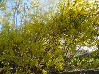 k-P1080774.webp