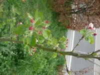 k-P1080784.webp