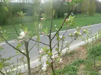 k-P1080785.webp