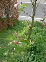 k-P1080784.webp