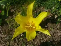k-P1080791.webp