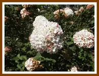 012.webp