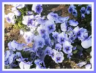 038.webp