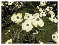 073.webp