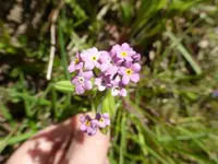 P1340161.webp