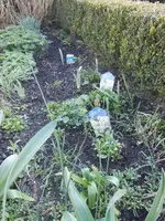 DSCN2211.webp