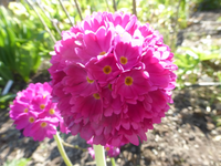 P1330380.webp