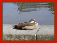 016.webp