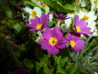 P1340102.webp
