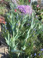 DSCN2225.webp