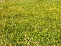 CIMG7230.webp