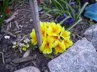 100_1712.webp