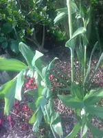 IMG_0193.webp