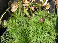 004_1024x768.webp