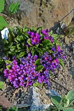 DSC_4322.webp