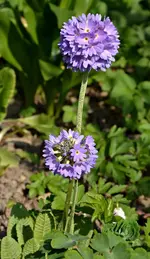DSC_4314.webp