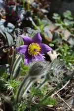 DSC_4267.webp